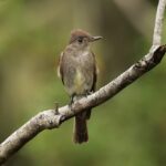 The current image has no alternative text. The file name is: 2790203_254b12a072063824b714a83d6ea0aec1.jpg